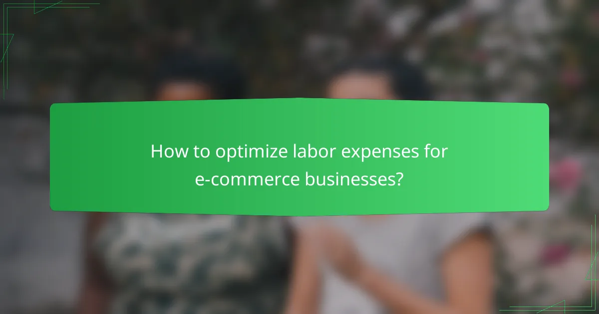 How to optimize labor expenses for e-commerce businesses?